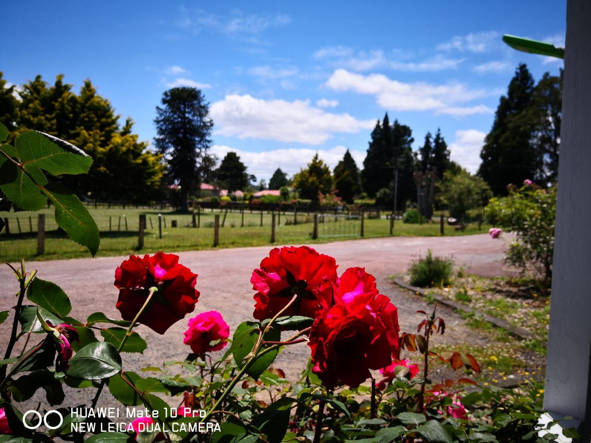 Amisfield Motel Tokoroa Bagian luar foto